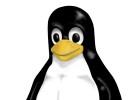 Linux, el triunfo silencioso