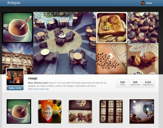 Iris, Un Precioso Cliente De Instagram Para IPad   LOCOSDEL136