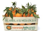 foto de la noticia
