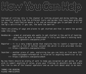 "Cómo puedes ayudar", el comunicado en el que Anonymous explica su objetivo