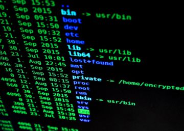 Twitter, Facebook, YouTube i Microsoft s’uneixen contra el terrorisme