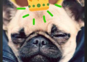 Las nuevas redes sociales para móvil que debes conocer Las nuevas redes sociales para móvil que debes conocer