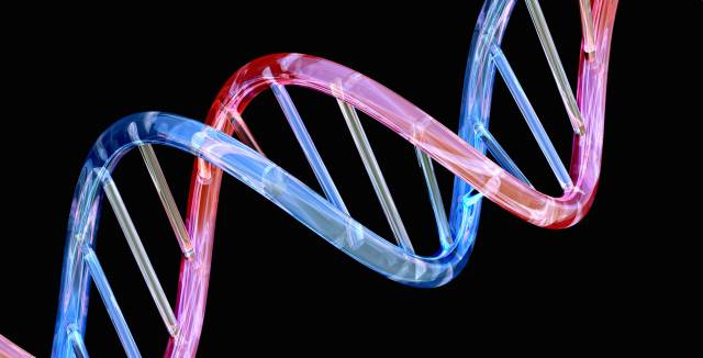 La doble hélice del ADN.