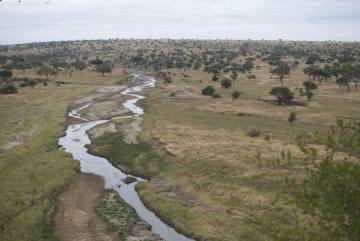 El río Tarangire es una fuente de agua esencial durante la estación seca.