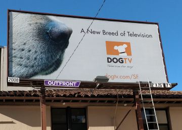 El ‘boom’ de las mascotas regresa a Silicon Valley