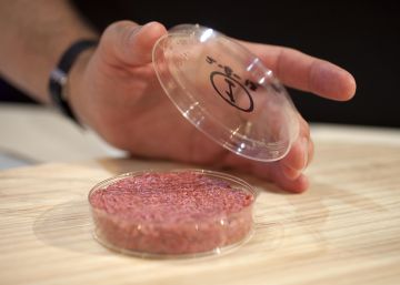 Así se hacen la carne y el pescado de laboratorio