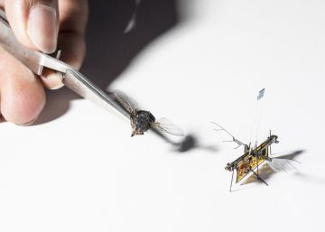 Así es el primer insecto robótico que vuela solo
