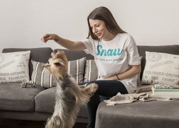 Cinco alternativas a las residencias para mascotas