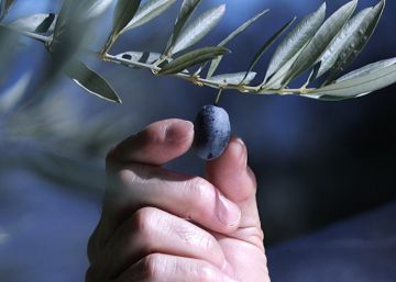 Aceitunas de silicona para cazar a los ladrones