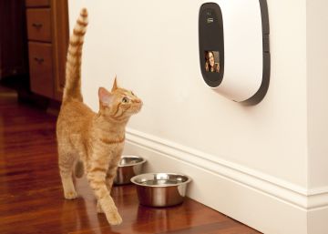 Alimentar a tu mascota desde el trabajo y otras ventajas de la tecnología