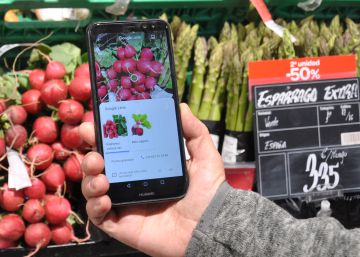 Un paseo con Google Lens
