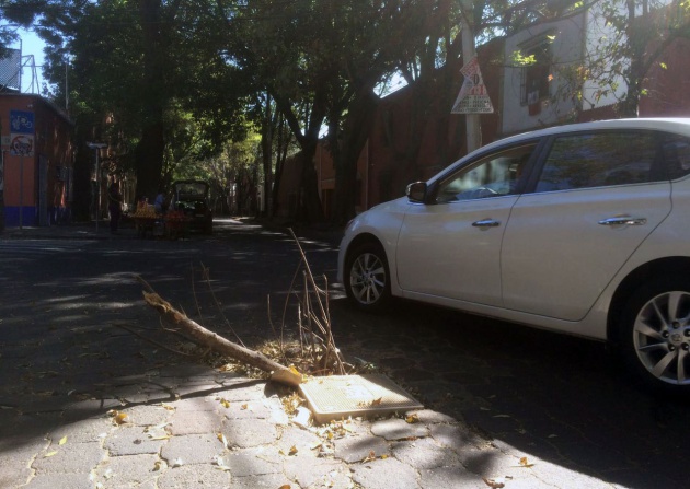 Un bache que ha sido cubierto con ramas por los vecinos de Coyoacán, en el sur de la Ciudad de México, para evitar accidentes Un bache que ha sido cubierto con ramas por los vecinos de Coyoacán, en el sur de la Ciudad de México, para evitar accidentes