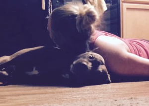 Colt, o cachorro que salva sua dona durante crises de convulsão Colt, o cachorro que salva sua dona durante crises de convulsão