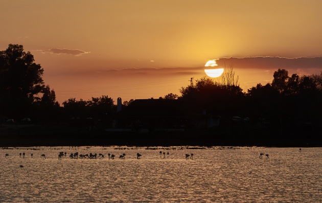 Atardecer en Doñana Atardecer en Doñana