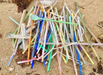 Canudos de plástico recolhidos em praia da Austrália