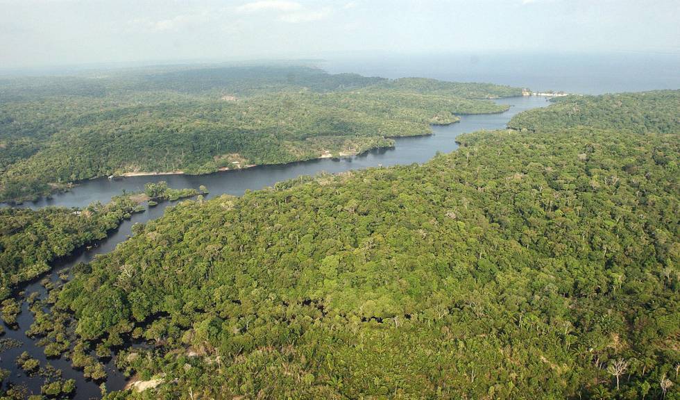 Foto aérea de uma parte da região amazônica.