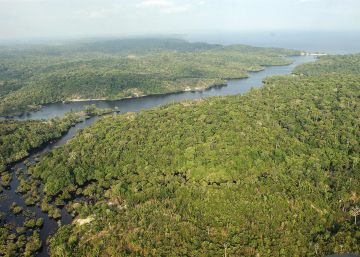 Governo Temer recua e suspende por 120 dias mineração em área da Amazônia