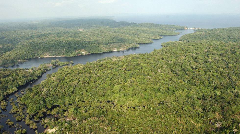 Resultado de imagem para Governo suspende efeitos de decreto sobre reserva na Amazônia