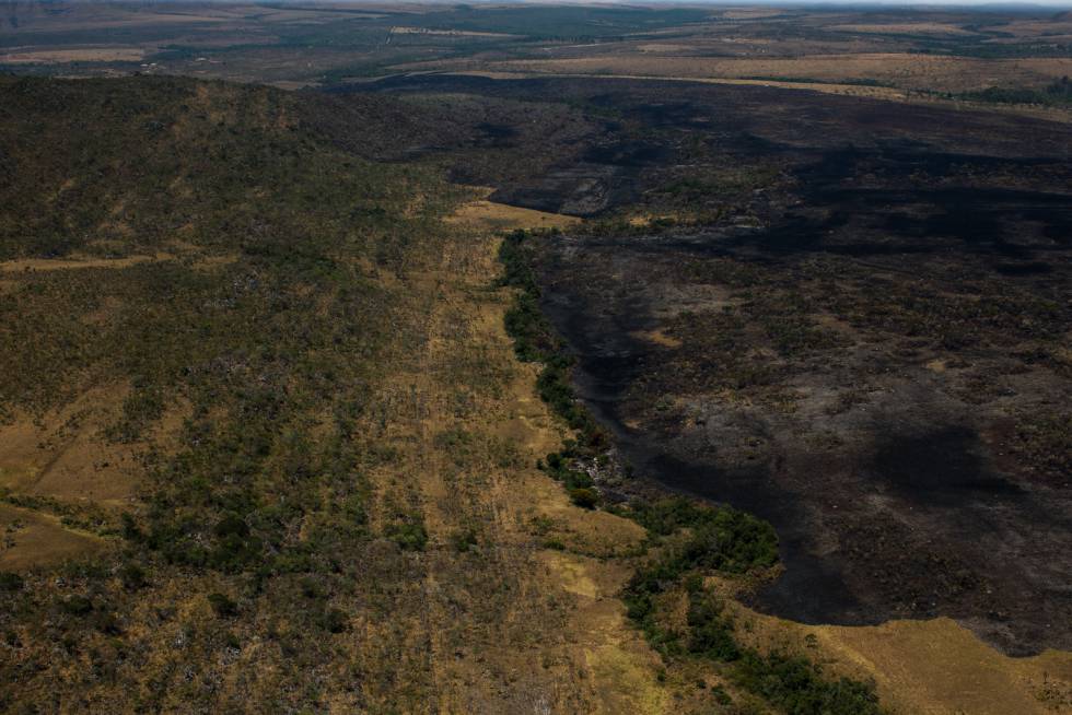 Duas semanas de fogo reduzem a cinzas o coração da Chapada dos Veadeiros