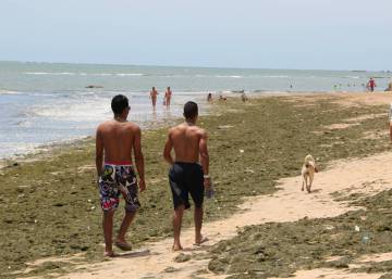 Segunda vítima de tubarão no Recife em dois meses: por que o cuidado deve ser redobrado agora