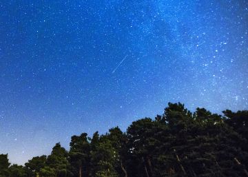 Pare e leia um poema #1: uma corrente lírica para Hilda Hilst