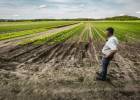 “O PL dos agrotóxicos vai ter um impacto direto na saúde do trabalhador rural”