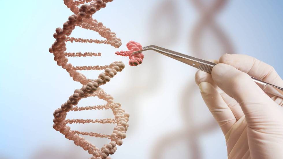 Por que ainda não se usa a modificação genética para eliminar doenças?