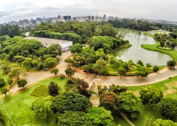 Concessão do Ibirapuera, o controverso pivô da guerra eleitoral em São Paulo