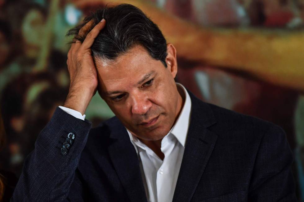 Resultado de imagem para haddad