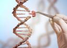 China investiga suposta criação de bebês geneticamente modificados