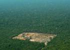 Astrini, do Greenpeace: “Bolsonaro promete um muro de vergonha para o meio ambiente”
