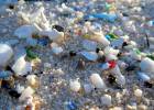 Europa proibirá venda de canudos, cotonetes e talheres de plástico