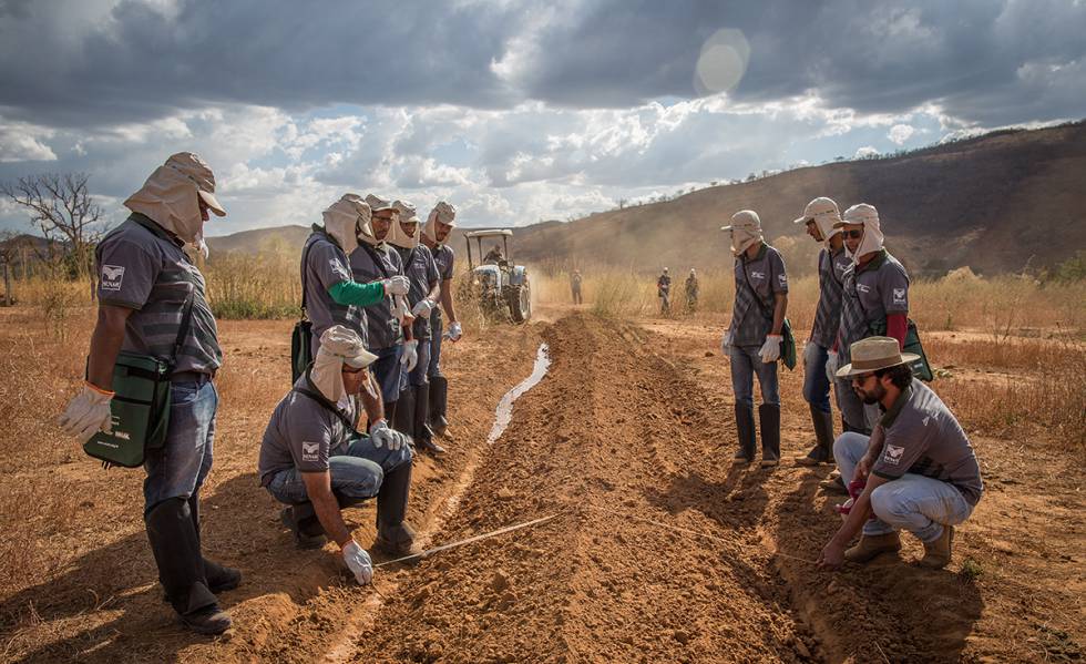 Agricultores recebem treinamento sobre o solo.
