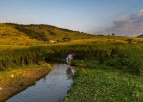 Governo brasileiro liberou registros de agrotóxicos de alta toxidade