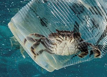 As marcas da destruição do planeta