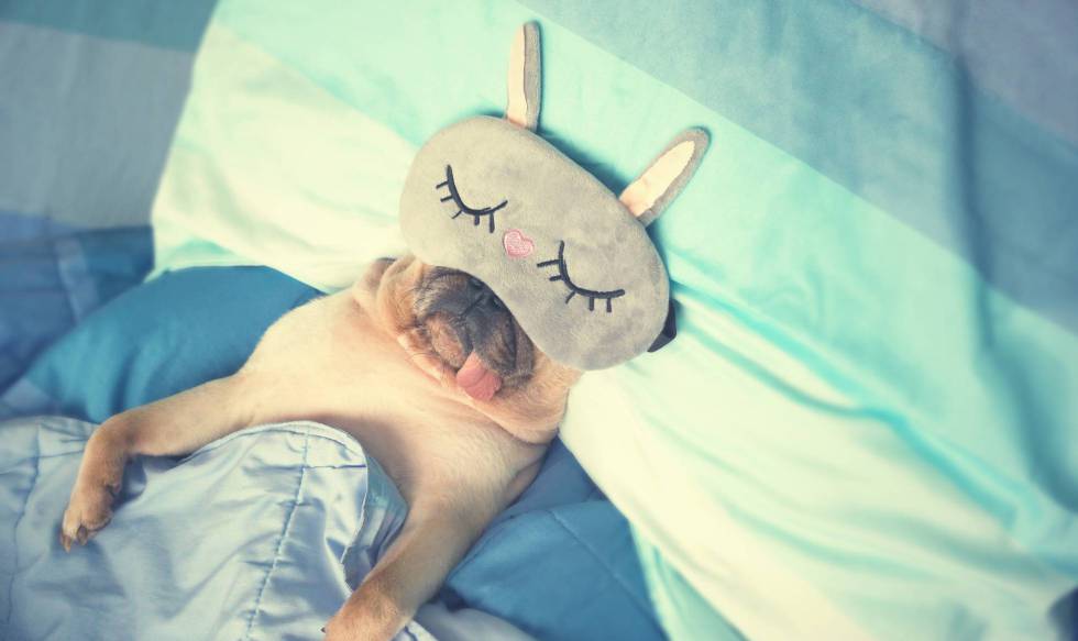 Os efeitos inesperados de ficar sem dormir