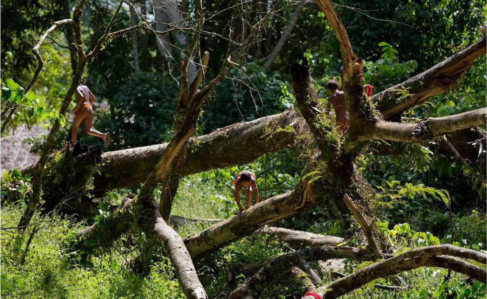 CrianÃ§as brincam em aldeia dentro da Terra IndÃ­gena Yanomami, onde vivem 25.000 Ã­ndios