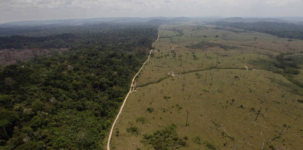 Imagem de desmatamento na regiÃ£o de Novo Progresso, no ParÃ¡.