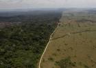 A Amazônia está à venda: quem der menos leva