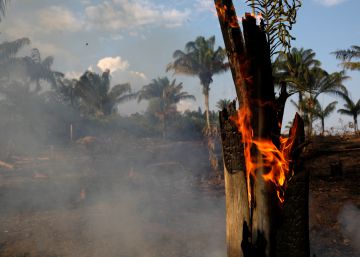 Onda de incêndios na Amazônia sobe e Governo admite descontrole “criminoso”