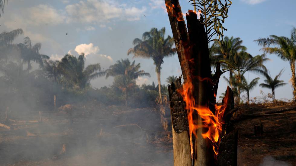 Resultado de imagem para AMAZONIA incêndios florestais 2019