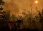 El millonario negocio de los incendios en la Amazonia