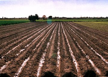 Sopes de l’hort de l’ermità perdut