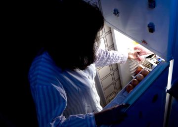 Vivir siempre en dieta