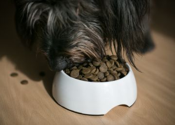 Cans, ensaïmades i patés