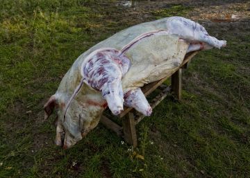 Menjars capitals en extinció