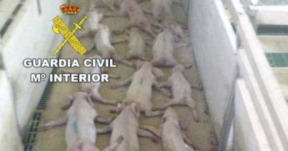 The video uploaded by the youths. (Viewers may find these images disturbing).