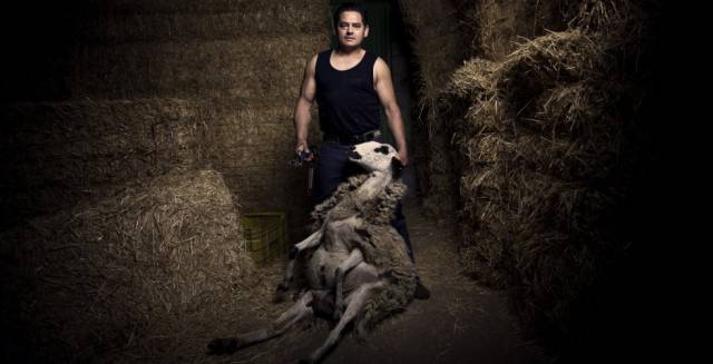 El esquilador Magín Malillos.