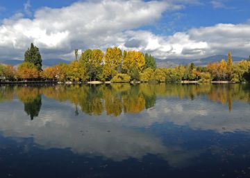 La ostentación insolente
