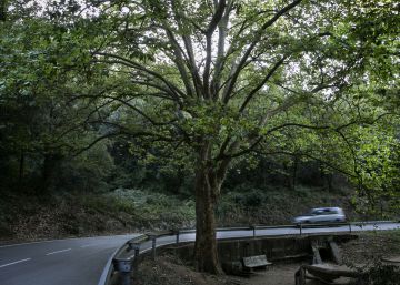 El mejor lugar para no hacer nada